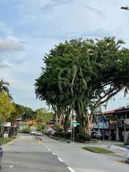 Kensington Park Drive (D19), Terrace #497864881